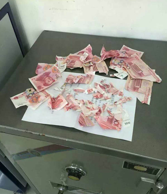 宠物美容学校
