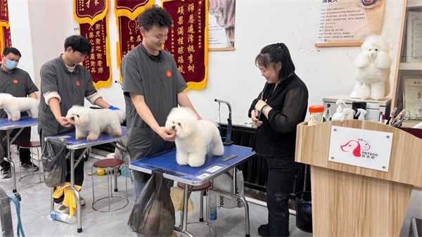 当热爱遇上专业，聆听派多格学员的成长实录