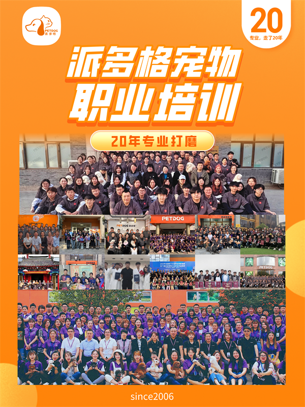 20年宠业深耕｜派多格，把热爱变成职业