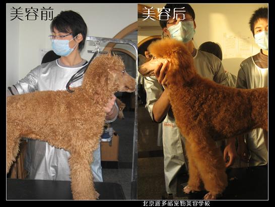 09年第九期学员作品赏析系列一（4）