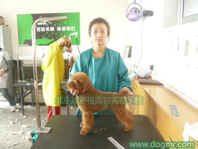 派多格2010年第十一期同学作品1