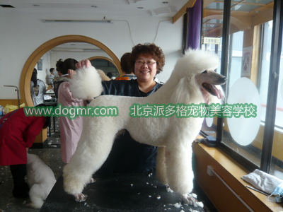 派多格2010年第十一期同学作品4