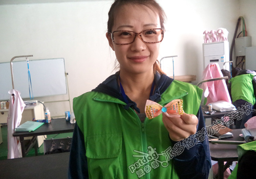 宠物美容师