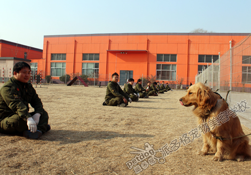 训犬师培训学校