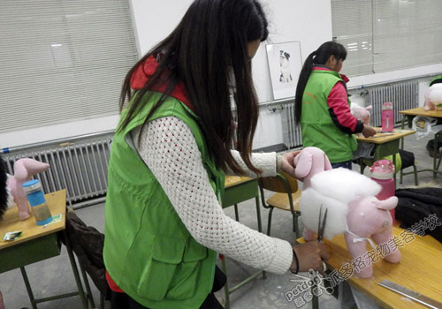 宠物美容学校