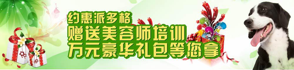 免费学宠物美容