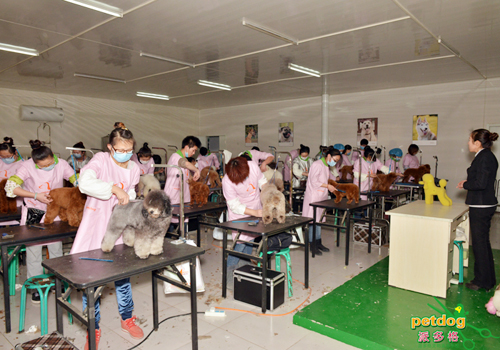 派多格学校毕业考试