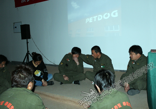 派多格训犬学校