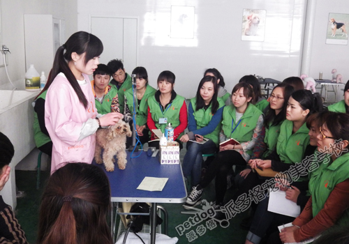 北京宠物美容学校