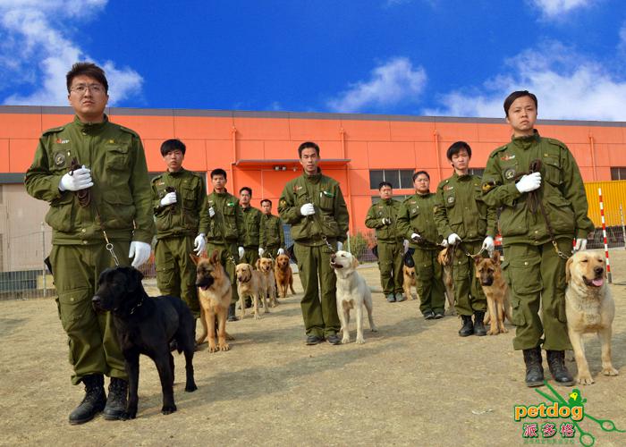 派多格训犬师培训学校