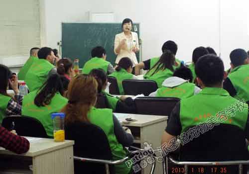 派多格宠物美容师