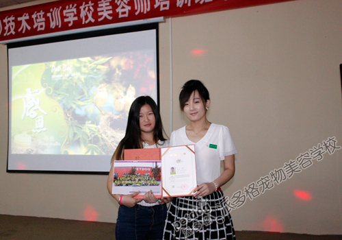 派多格宠物美容师