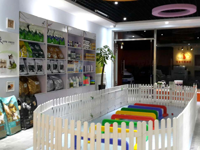 宠物美容店