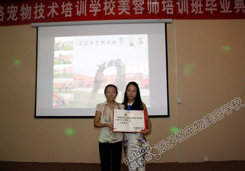 派多格宠物美容师