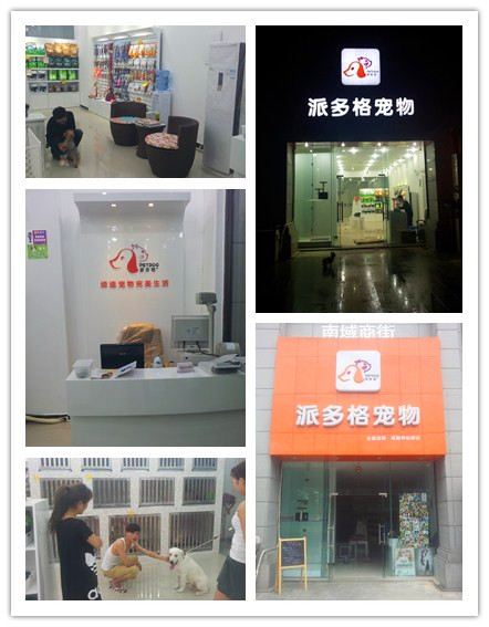 派多格宠物美容师