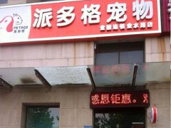 派多格河南郑州宠物美容店