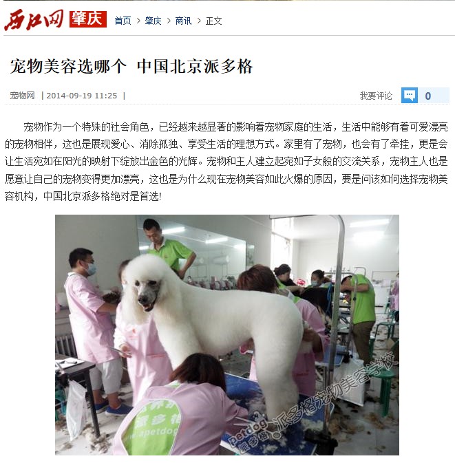 宠物美容选哪个 中国北京派多格