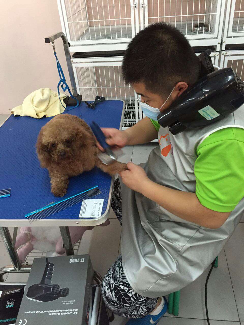 圣宠宠物名师指导学员