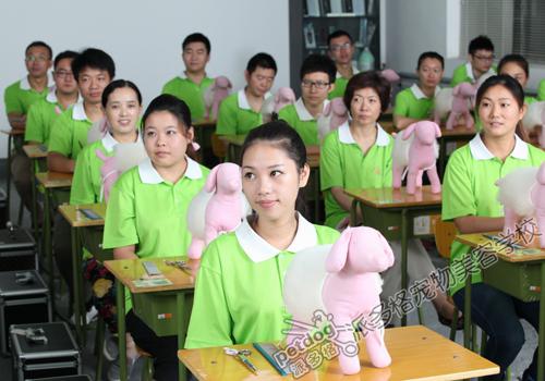派多格宠物美容学校
