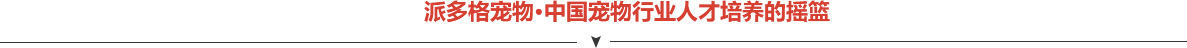 宠物美容师培训